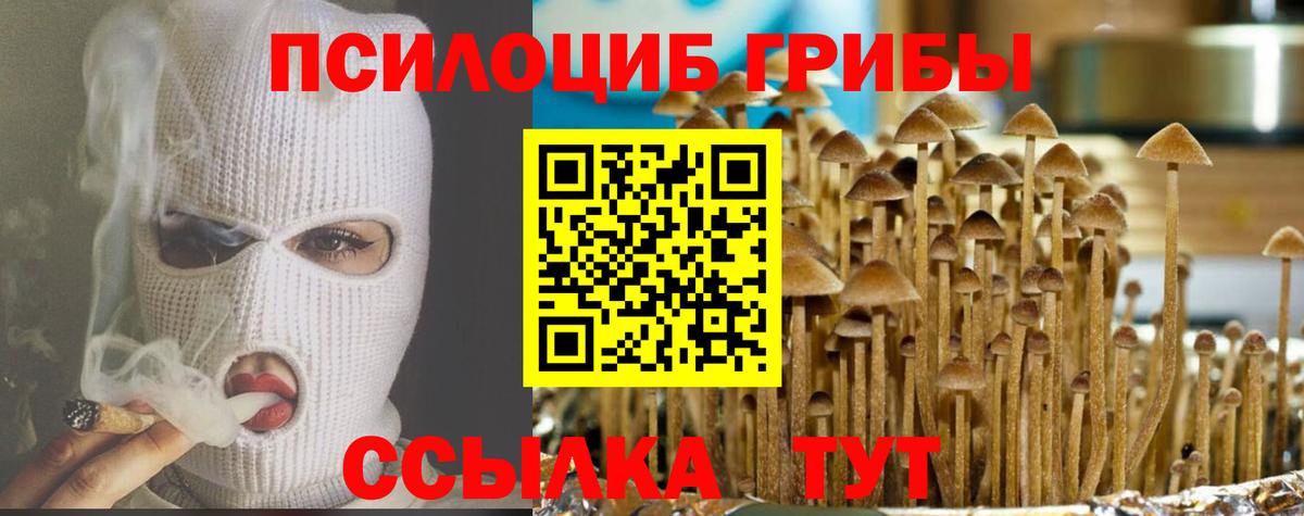 Галлюциногенные грибы Magic Shrooms  Вход с VPN  Кинешма 